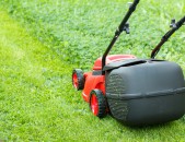 small lawn mower