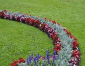 flower bed 2